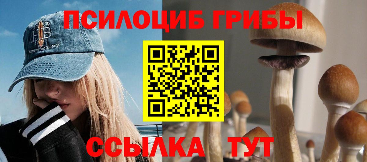 Псилоцибиновые грибы MAGIC MUSHROOMS  Псилоцибиновые грибы мицелий  Сердобск  Вход с VPN 